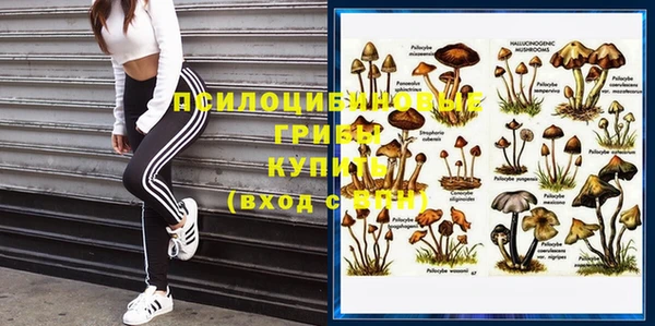 каннабис Аркадак