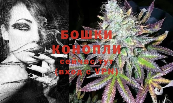 шишки Заводоуковск