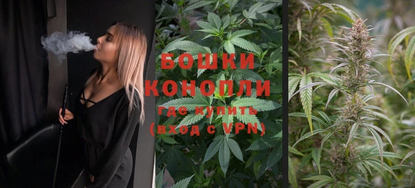 каннабис Аркадак
