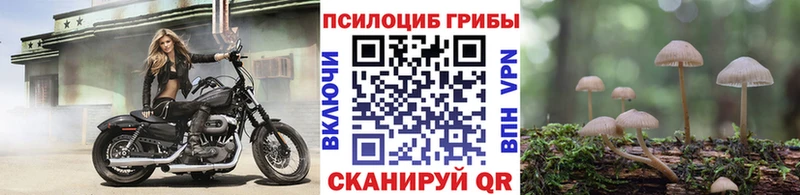 Псилоцибиновые грибы Psilocybe  blacksprut ТОР  Новоульяновск 
